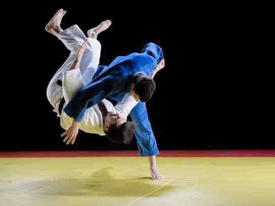 Que sont les arts martiaux olympiques ?